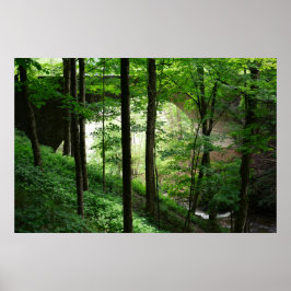 レッチワースブリッジの緑の森 36" x 24" ポスター