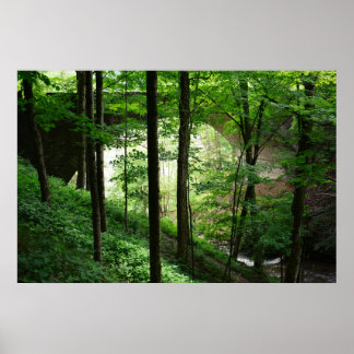 レッチワースブリッジの緑の森 36" x 24" ポスター