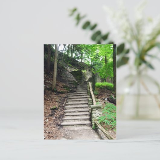 レッチワース州パークストーン階段から滝 ポストカード (スタンド正面)