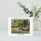 レッチワース州パーク – ティーテーブルロック ポストカード (スタンド正面)