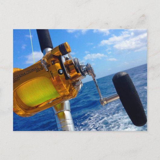 レッツゴー魚釣り ポストカード (正面)