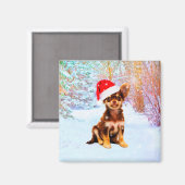 レッツスノークリスマスホリデーチワホアドッグ マグネット (正面/裏面)