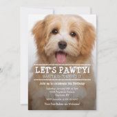 レッツポーティ2フォトペット誕生日 招待状 (正面)