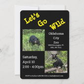 レッツワイルドアニマルズーファースト誕生日招待状 招待状 (裏面)