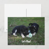 レッツ遊!ドイツの子犬はがき ポストカード (正面/裏面)