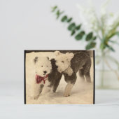 レッツ遊! ポストカード (スタンド正面)