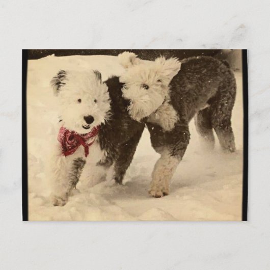 レッツ遊! ポストカード (正面)