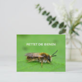 レッテディビエネン ポストカード (スタンド正面)