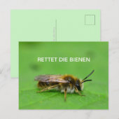 レッテディビエネン ポストカード (正面/裏面)