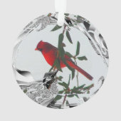 レッドかわいらしノーザン（鳥）ショウジョウコウカンチョウ オーナメント (裏面)