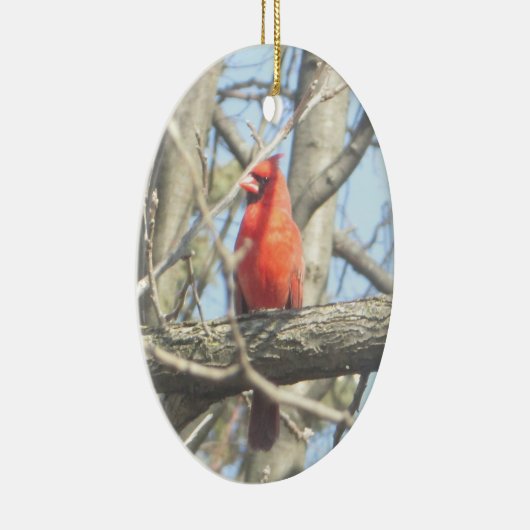 レッドかわいらし(鳥)ショウジョウコウカンチョウクリスマス セラミックオーナメント (右)