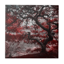 レッドさくらんぼブロッサムツリー