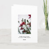 レッドぼやけディアシア1花の写真 カード (裏面)