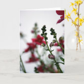 レッドぼやけディアシア1花の写真 カード (黄色い花)