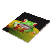 レッドアイツリーフロッグ、アガリチニスカリドリア、先住民 タイル (側面)