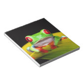 レッドアイツリーフロッグ、アガリチニスカリドリア、先住民 ノートパッド (アングル)