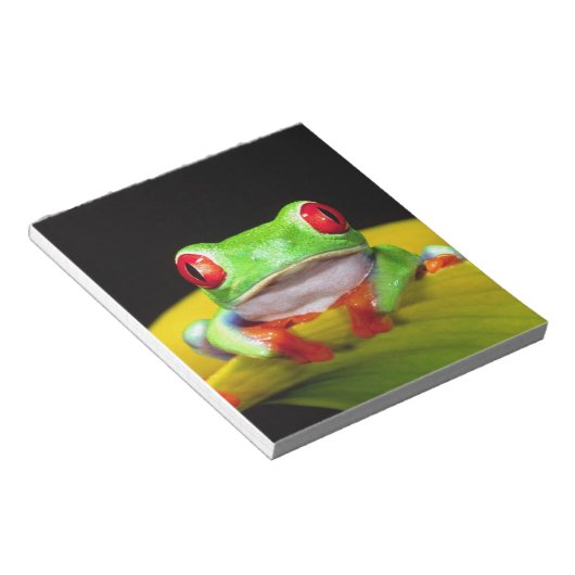レッドアイツリーフロッグ、アガリチニスカリドリア、先住民 ノートパッド (アングル)