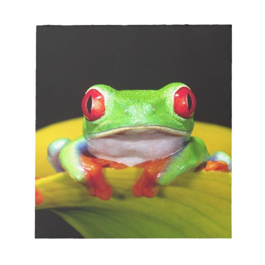 レッドアイツリーフロッグ、アガリチニスカリドリア、先住民 ノートパッド (正面)