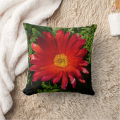 レッドアイフラワーカカラフルーペットプラント クッション (ブランケット)