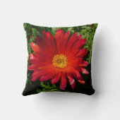 レッドアイフラワーカカラフルーペットプラント クッション (裏面)