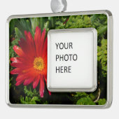 レッドアイフラワーカカラフルーペットプラント シルバープレートフレームオーナメント (左)