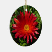 レッドアイフラワーカカラフルーペットプラント セラミックオーナメント (右)