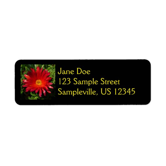 レッドアイフラワーカカラフルーペットプラント ラベル (正面)