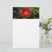 レッドアイフラワーカカラフルーペットプラント 便箋 (スタンド正面)
