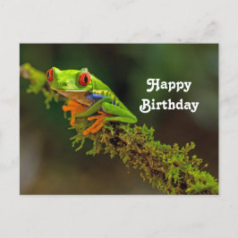 レッドアイ・ツリーフロッグの写真 誕生日 ポストカード