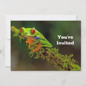レッドアイ・ツリーフロッグの写真 誕生日 招待状 (正面)