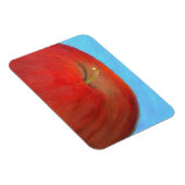 レッドアップルフレックス磁石 マグネット (右側)