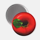 ..レッドアップル マグネット (正面/裏面)