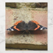 レッドアドミラルバタフライワインボトルラベル ワインラベル (シングルラベル)