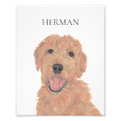 レッドアパーソナライズされたプリコットゴールデンドールアート フォトプリント (正面)