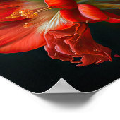 レッドアマリリスフラワーアートプリントポスター ポスター (角)