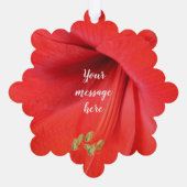 レッドアマリリスフラワーキープサケ写真 オーナメントカード (裏面)