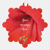 レッドアマリリスフラワーキープサケ写真 オーナメントカード (正面)