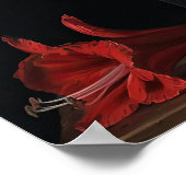 レッドアマリリスフラワーズアートプリントポスター ポスター (角)