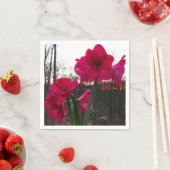 レッドアマリリス&ウィンターサンライズ スタンダードカクテルナプキン (インサイチュ)