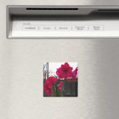 レッドアマリリス&ウィンターサンライズ マグネット (インサイチュ (食洗機))