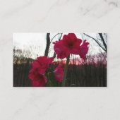 レッドアマリリス&ウィンターサンライズ 名刺 (裏面)