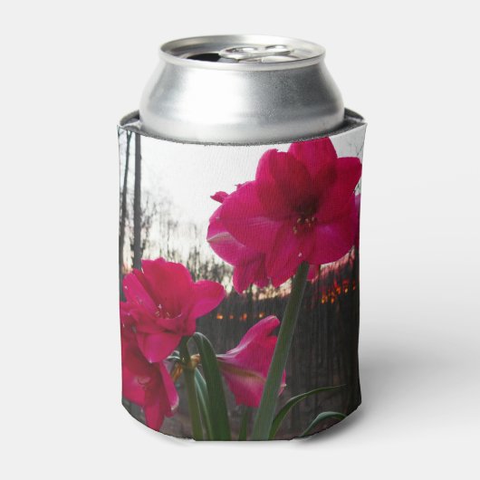 レッドアマリリス&ウィンターサンライズ 缶クーラー (缶正面)