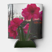 レッドアマリリス&ウィンターサンライズ 缶クーラー (正面)