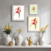 レッドアマリリス、ヴィンテージ植物学イラストレーション ポスター