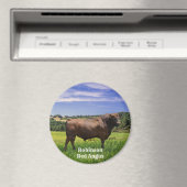 レッドアンガスブル マグネット (インサイチュ (食洗機))