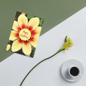 レッドアンドイエローダリアフローラ誕生日 カード