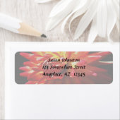 レッドイエローダリアフラワー住所 シール (インサイチュ)