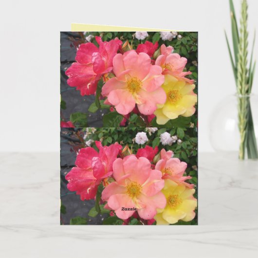 レッドイエローローズフラワーフローラヴィンテージバラカード カード (裏面)