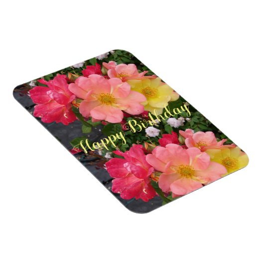 レッドイエローローズフラワーフローラ誕生日バラ マグネット (右側)