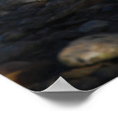 レッドイビス ポスター (角)